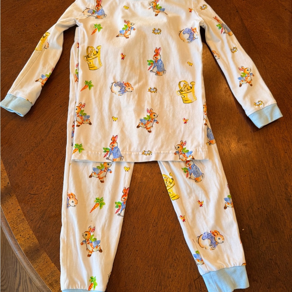 Light Blue Bunny & Garden Print Kids Pajama Set
